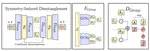 Symmetry-induced Disentanglement on Graphs